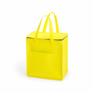 Basic budget cooler bag